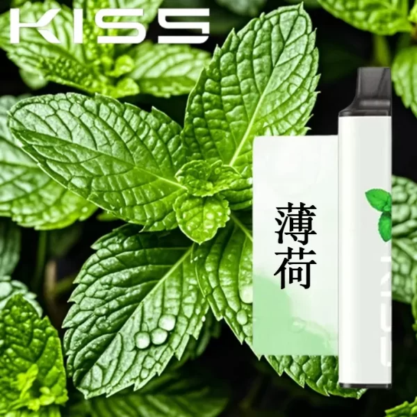 【薄荷】 KIS5 6500口一次性電子煙